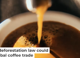 The beans that created this cup of coffee had a long journey. Guido Mieth/Moment via Getty Images